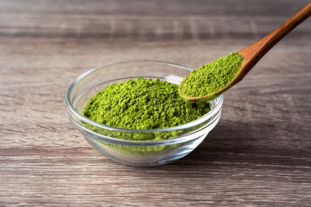 粉末茶とは?抹茶・粉茶・インスタント茶との違いや淹れ方、保存方法を解説