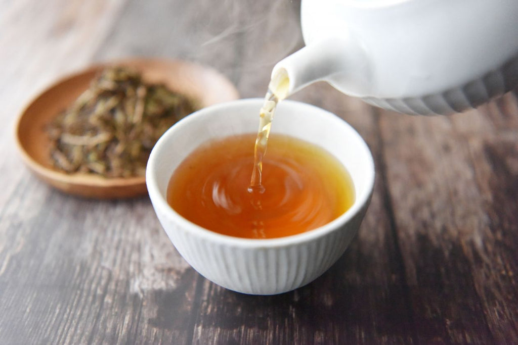 ほうじ茶の魅力を徹底解説!気になるカフェイン量と簡単レシピ3選