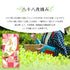 新茶 八十八夜摘み 静岡茶 100g/200g | 新茶 2026
