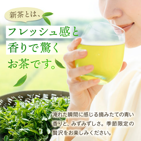 【予約】 上級 ティーバッグ 新茶 2026 静岡茶 3g×10個 ※5/7頃順次発送予定