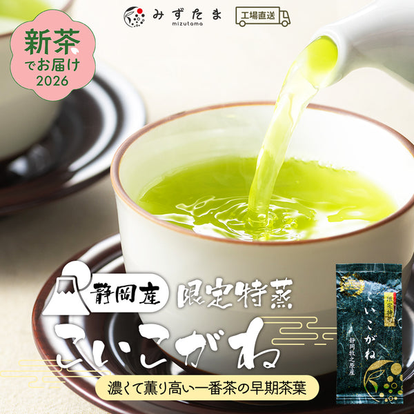 新茶でお届け 静岡茶 限定特蒸 こいこがね 茶葉 100g | 新茶 2026