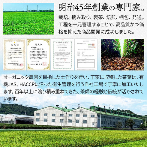 限定特蒸 駿河一番棒茶 茶葉 120g くき茶