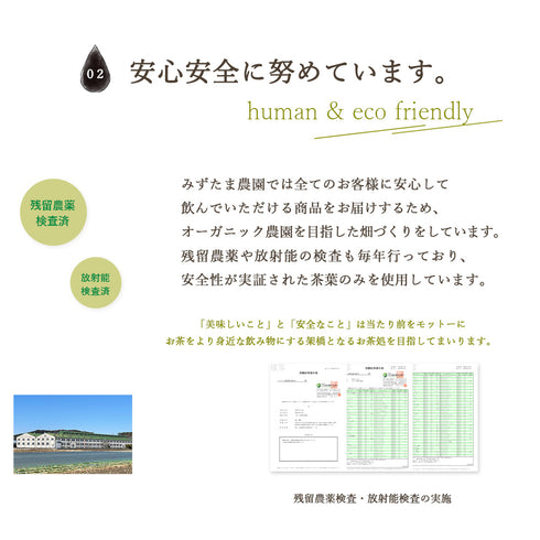 ゴクゴクすっきり 深蒸しティーバッグ 2.5g×100p