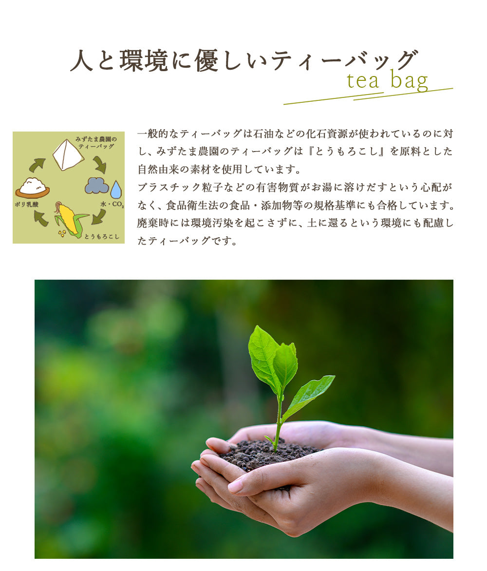 ゴクゴクすっきり 深蒸しティーバッグ 2.5g×100p ｜ 植物由来ティー
