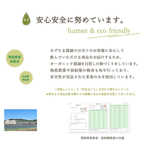 ゴクゴクすっきり玄米茶ティーバッグ 2.5g×100p