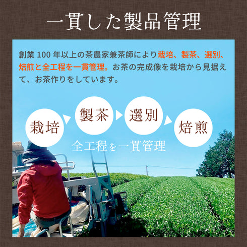 「無咖啡因」無咖啡因焙茶 5g x 50p