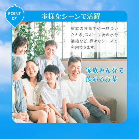 水出しエブリデイ 和紅茶 ティーバッグ 10g×31個