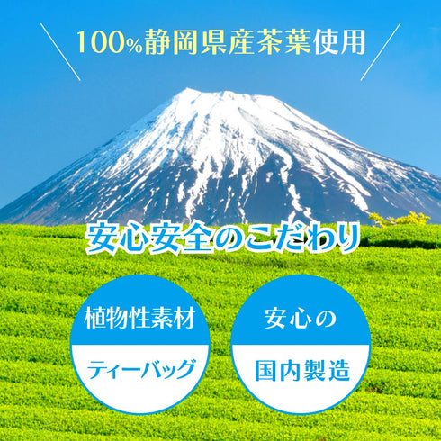 水出しエブリデイ 和紅茶 ティーバッグ 10g×31個