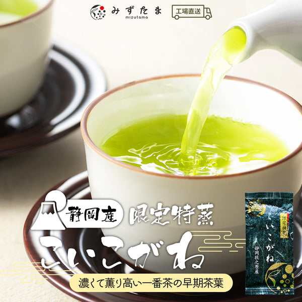 静岡茶 限定特蒸 こいこがね 茶葉 100g