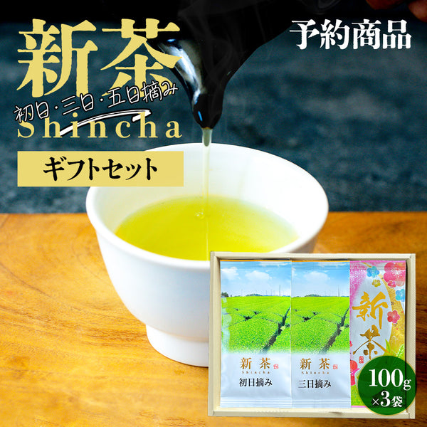 2023新茶限量首日精選深蒸煎茶葉
