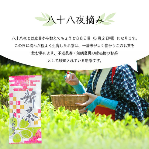 2023年新茶限定Hachijuhachiya採摘深蒸煎茶葉