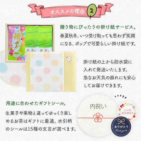 2023 new tea first day hand-picked deep steamed sencha