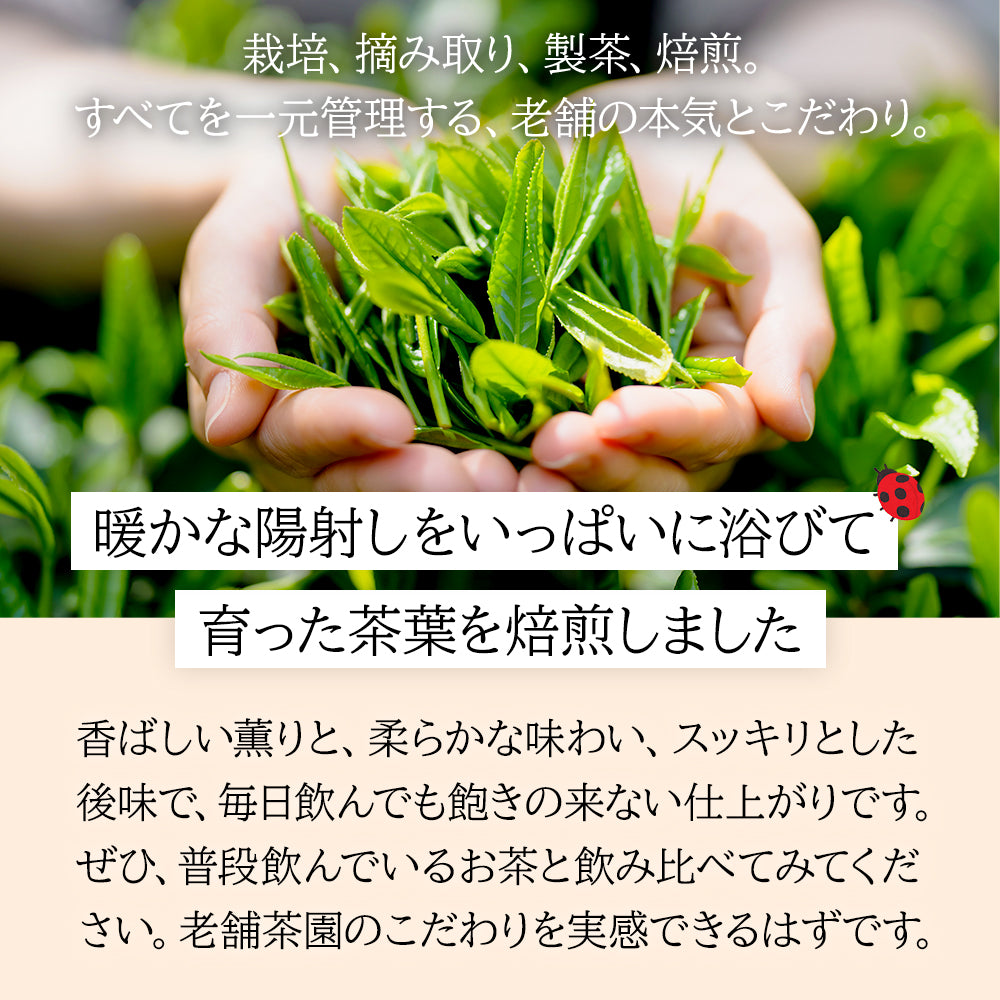 カフェインレスほうじ番茶ティーバッグ 5g×50p | みずたま農園製茶場