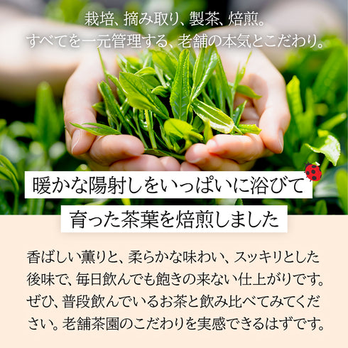 カフェインレスほうじ番茶ティーバッグ 5g×50p