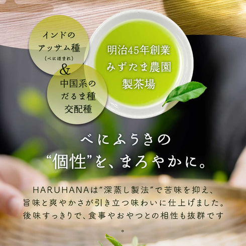 HARUHANAべにふうき 粉末緑茶 50g