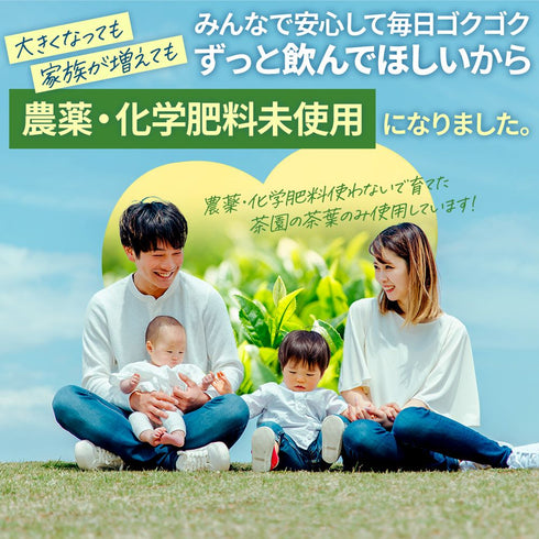 太陽さんさん赤ちゃん番茶 農薬・化学肥料未使用 30個入