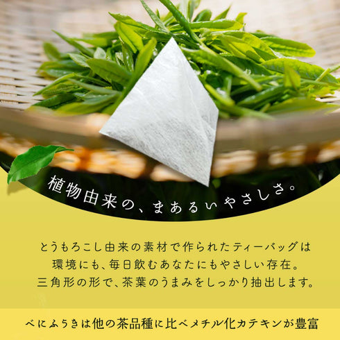 HARUHANAべにふうき ティーバッグ 緑茶 3g×25p