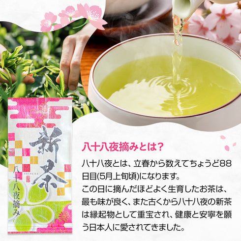 2023新茶限量首日精選深蒸煎茶葉