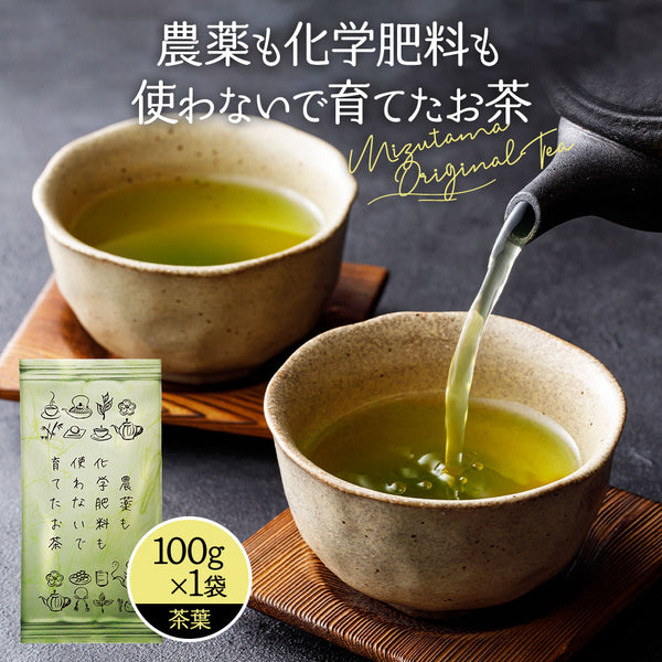 Tea leaves grown without pesticides or chemical fertilizers 100g New tea 2023