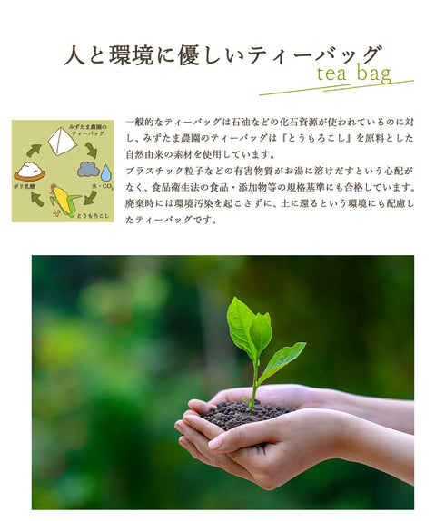 農薬も化学肥料も使わないで育てたお茶 深蒸し茶 ティーバッグ 2.5g×50p