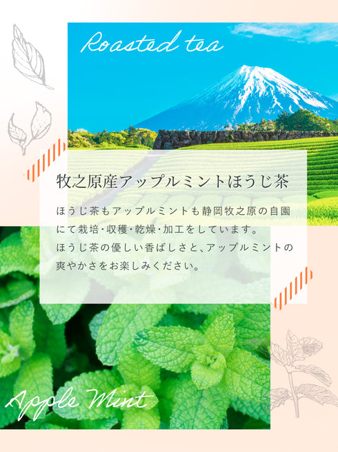 アップルミント×ほうじ茶 ティーバッグ 2.5g×35p