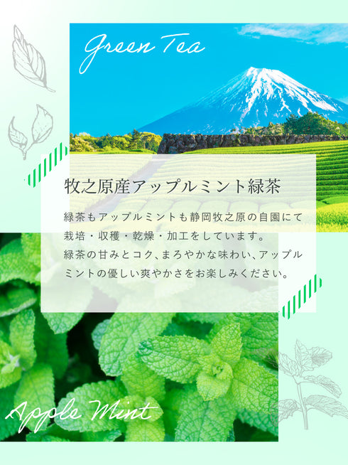 アップルミント×緑茶 ティーバッグ 2.5g×35p