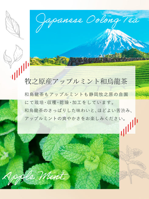 アップルミント×烏龍茶 ティーバッグ 2.5g×35p
