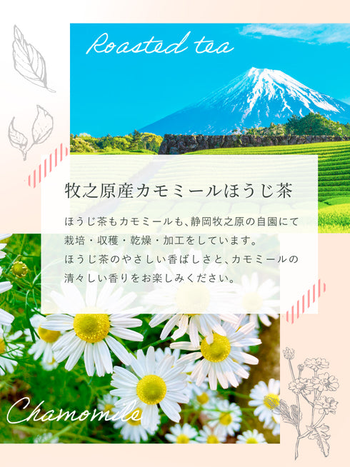 カモミール×ほうじ茶 ティーバッグ 2.5g×35p