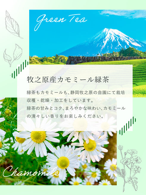 カモミール×緑茶 ティーバッグ 2.5g×35p