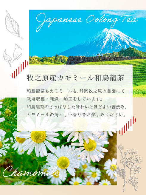 カモミール×和烏龍茶 ティーバッグ 2.5g×35p