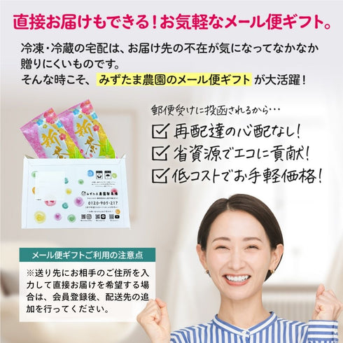 【予約】 五日摘み 新茶ギフトセット 静岡茶 2026 ※5/7頃順次発送予定