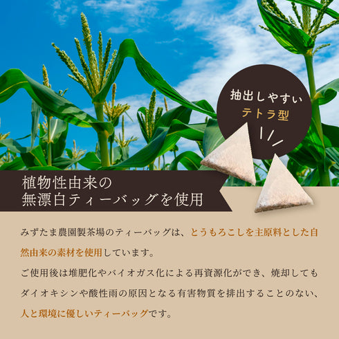 金時しょうが和紅茶 温活小町 5g×10p