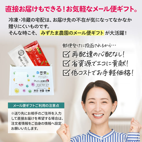 限定製法茶葉 2種(火ノ丸紅茶・限定特蒸) ギフトセット