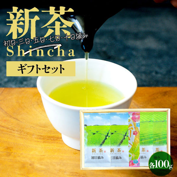 【予約】 摘み取り日5種 新茶ギフトセット 静岡茶 2026 ※5/7頃順次発送予定