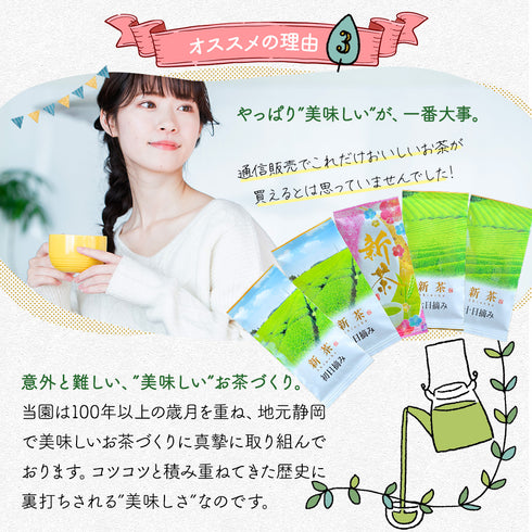 【予約】 摘み取り日5種 新茶ギフトセット 静岡茶 2026 ※5/7頃順次発送予定