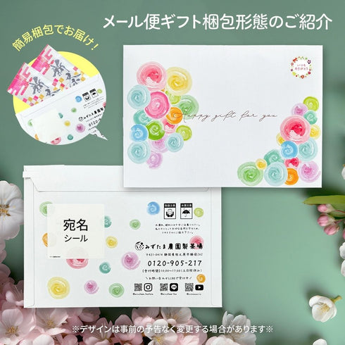 2023新茶限量首日精選深蒸煎茶葉