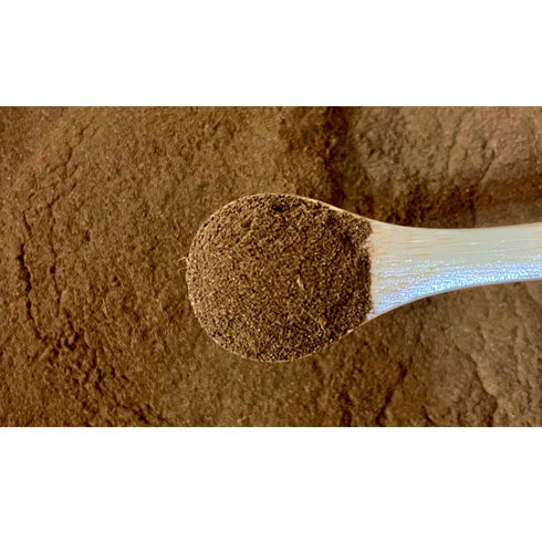 Japanese Black Tea Powder (Commercial Use) 1000g