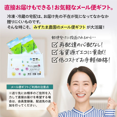 【予約】 初日摘み 新茶ギフトセット 静岡茶 2026 ※4/30頃順次発送予定