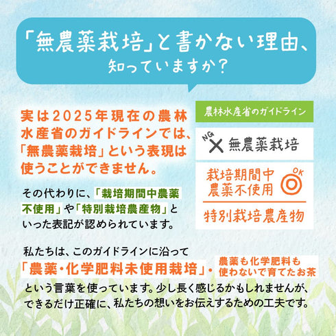 農薬も化学肥料も使わないで育てたお茶 深蒸し茶 ティーバッグ 2.5g×50p