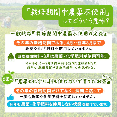 農薬も化学肥料も使わないで育てたお茶 深蒸し茶 ティーバッグ 2.5g×50p