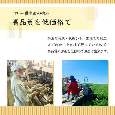 粉末玄米茶 50g 茶葉の栄養「まるごと」GENMAI TEA