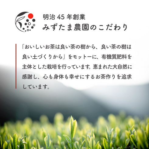 荒仕上げ 上級 深蒸し煎茶 100g