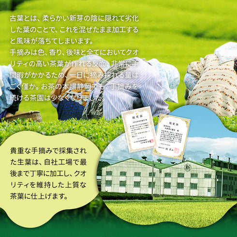 静岡茶 手摘み 深蒸し茶 100g