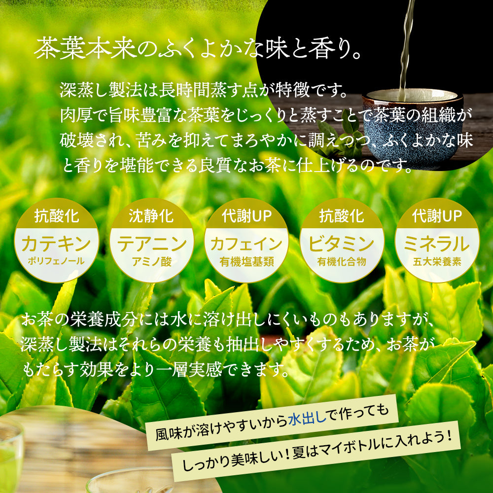 低温熟成蔵出し茶 深蒸し煎茶 100g みずたま農園製茶場 静岡県牧之原茶