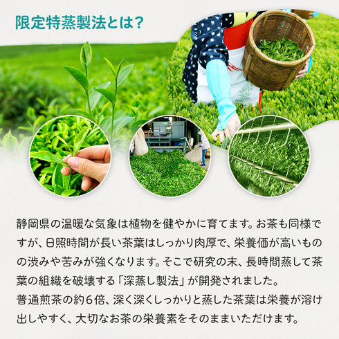 限定特蒸 極上ほうじ茶 茶葉 60g