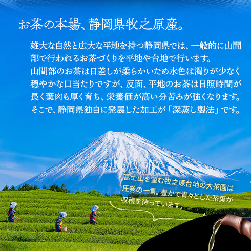限定特蒸 熟成蔵出し茶 茶葉 100g