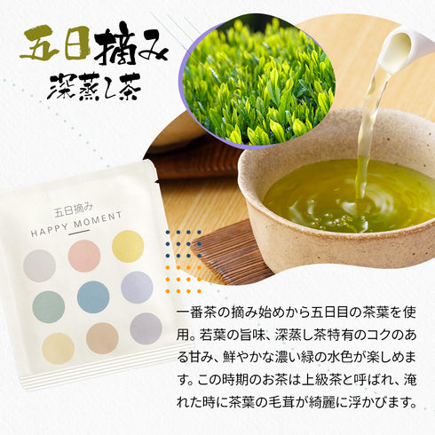 静岡茶 摘み取り日 飲み比べ アソート5種セット