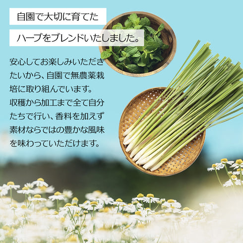 選べるギフト クラフトフレーバーティー