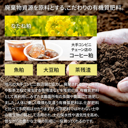静岡茶 農薬も化学肥料も使わないで育てたお茶 リーフ(茶葉) 100g