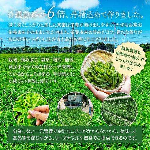限定特蒸 深蒸し一番茶 ティーバッグ 3.5g×20p